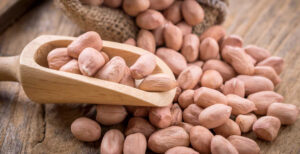 Bulk Groundnuts Suppliers Bulk Groundnuts Suppliers