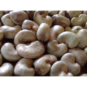 Cashew Nuts for Wholesale Cashew Nuts for Wholesale