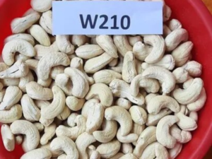 W210 Cashew Kernels Supplier