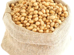 soybeans Suppliers