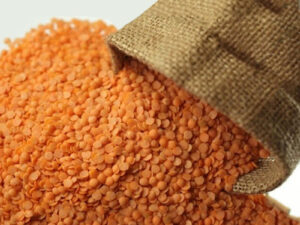 wholesale lentils supplier